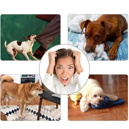 Balle Jouet Chien