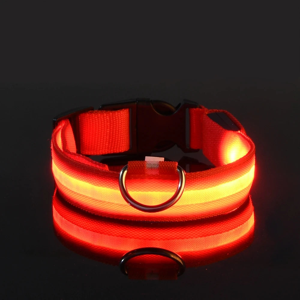Collier de Sécurité LED Pour la Nuit
