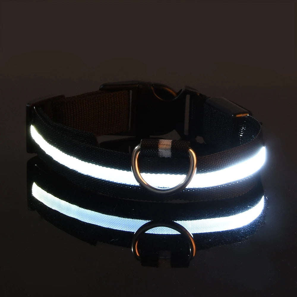 Collier de Sécurité LED Pour la Nuit