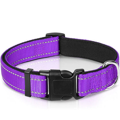 Collier Réfléchissant Chien