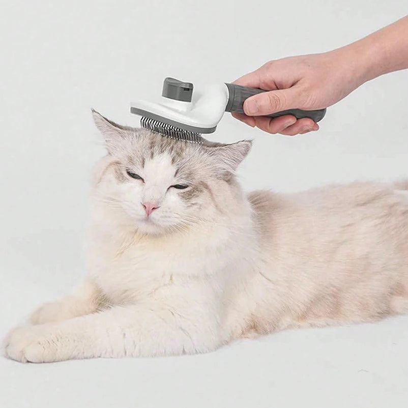 Brosse Chat anti Peluche