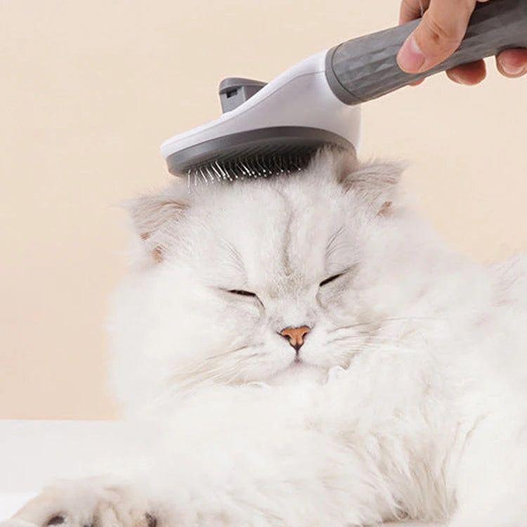 Brosse Chat anti Peluche
