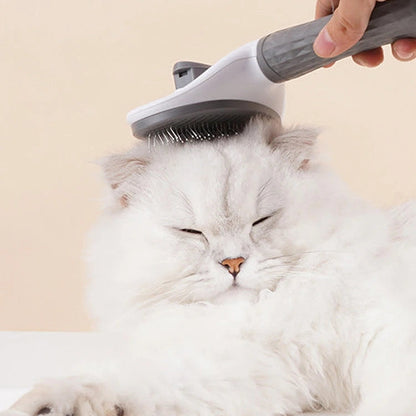 Brosse Chat anti Peluche