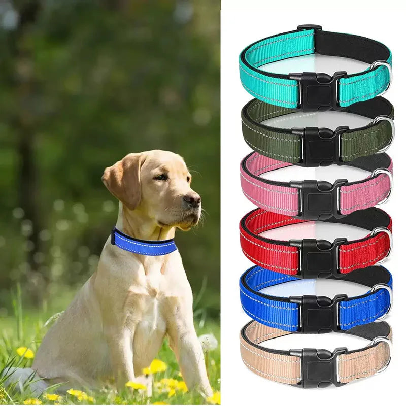 Collier Réfléchissant Chien