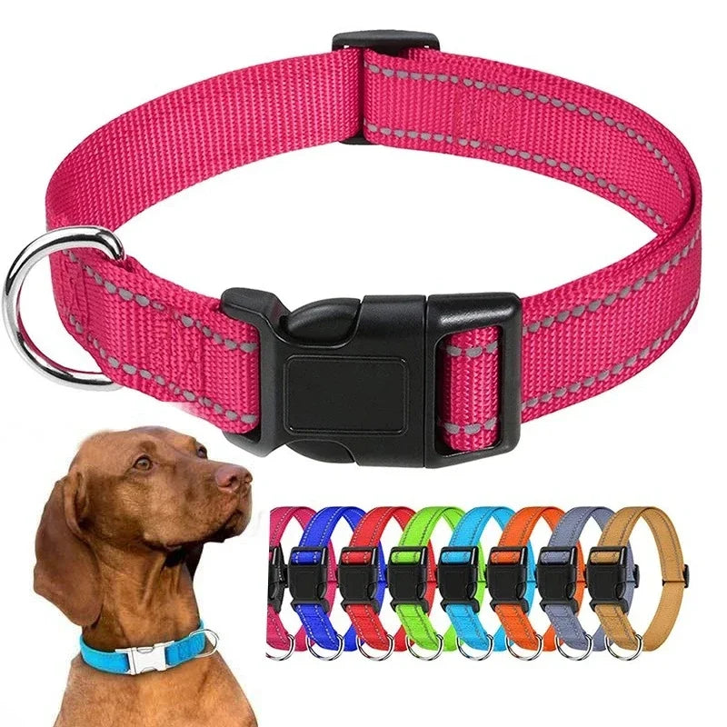 Collier Pour Chien Réfléchissante