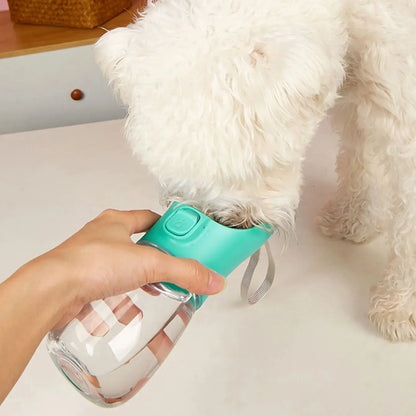 Gourde Eau Chien Portable