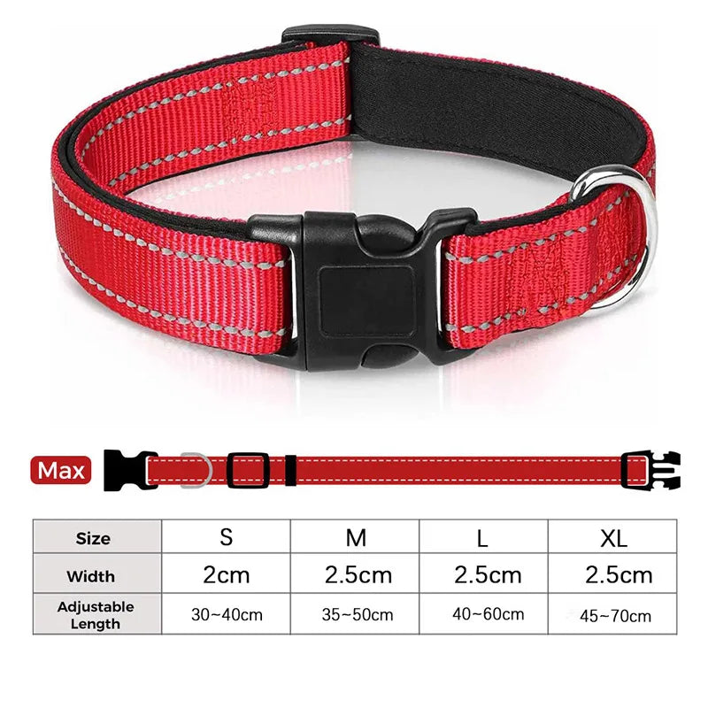 Collier Réfléchissant Chien