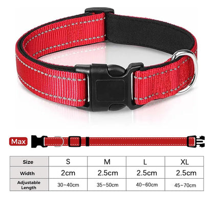 Collier Réfléchissant Chien