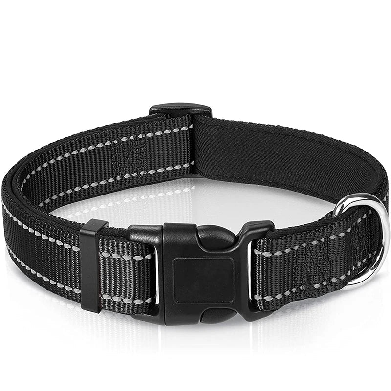 Collier Réfléchissant Chien