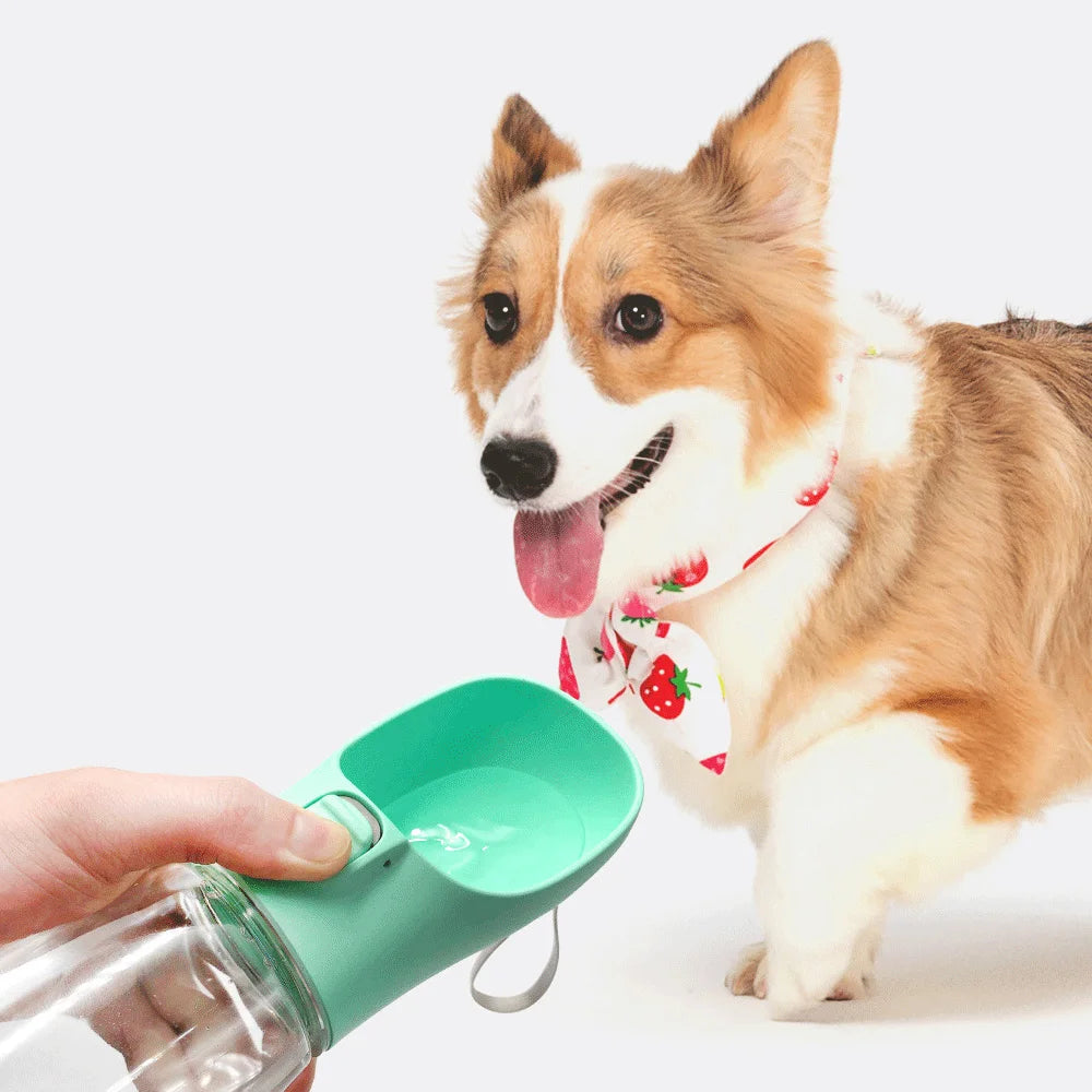 Gourde Eau Chien Portable