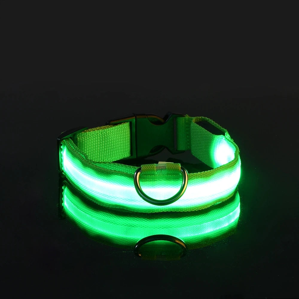 Collier de Sécurité LED Pour la Nuit