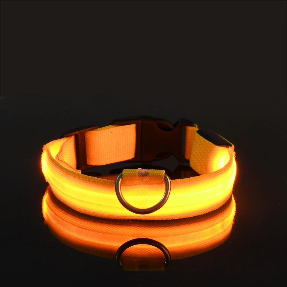 Collier de Sécurité LED Pour la Nuit