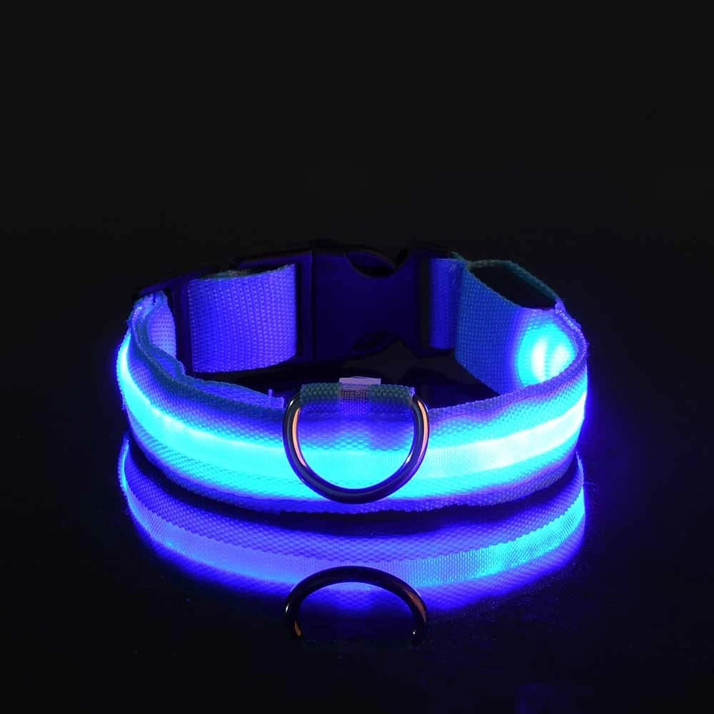 Collier de Sécurité LED Pour la Nuit