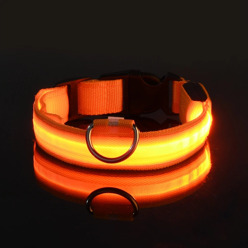 Collier de Sécurité LED Pour la Nuit