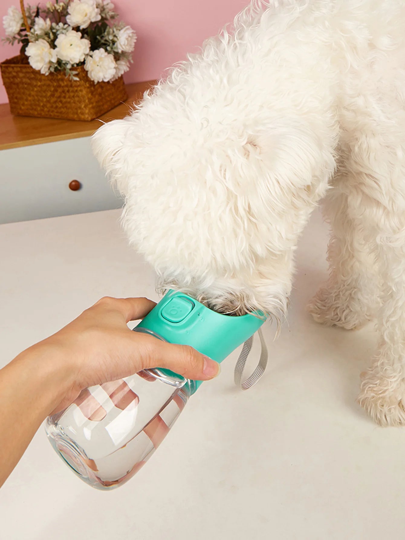 Gourde Eau Chien Portable
