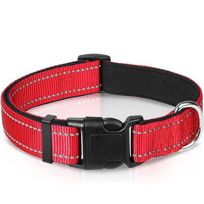 Collier Réfléchissant Chien
