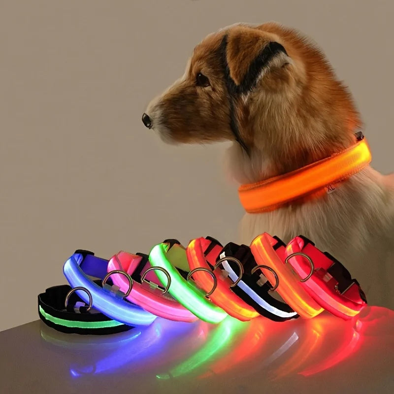 Collier de Sécurité LED Pour la Nuit