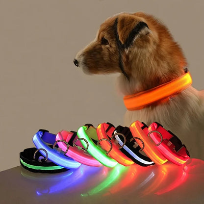 Collier de Sécurité LED Pour la Nuit