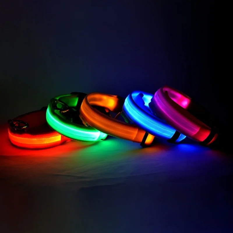 Collier de Sécurité LED Pour la Nuit