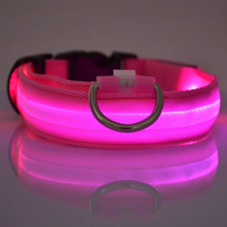 Collier de Sécurité LED Pour la Nuit