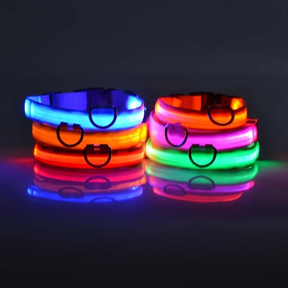 Collier de Sécurité LED Pour la Nuit