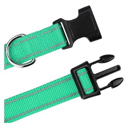 Collier Pour Chien Réfléchissante