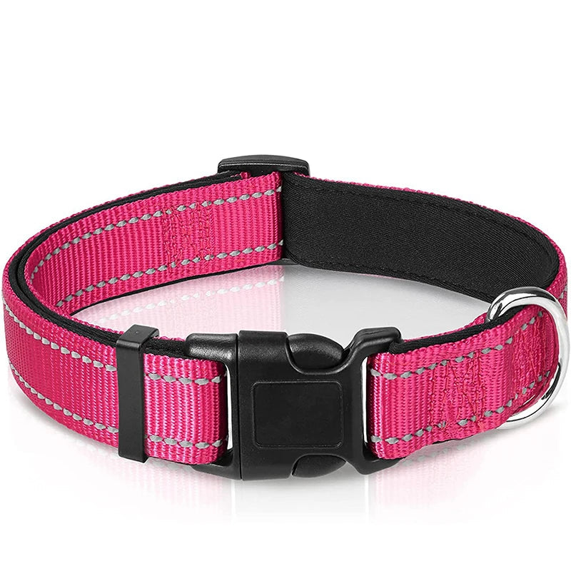 Collier Réfléchissant Chien