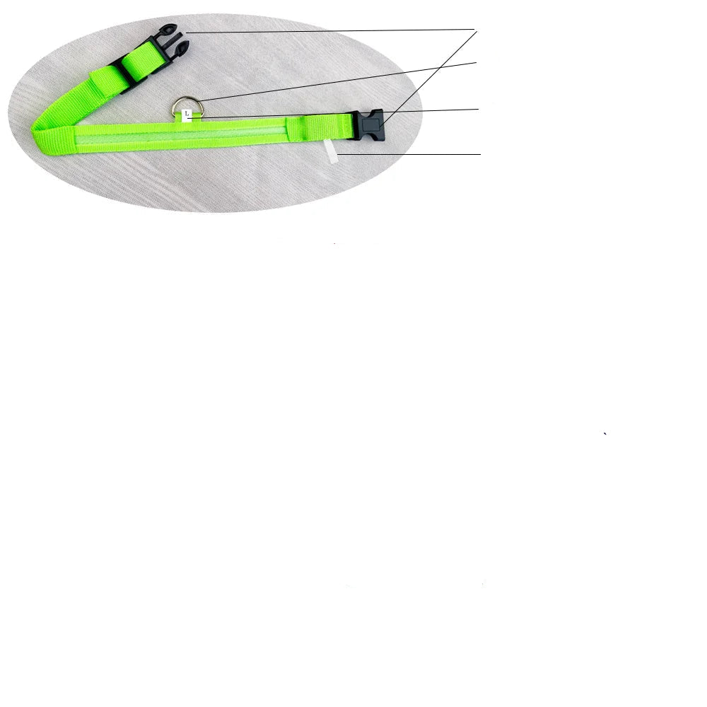Collier de Sécurité LED Pour la Nuit