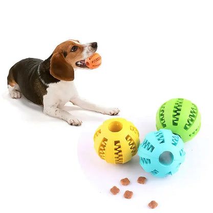 Balle Jouet Chien