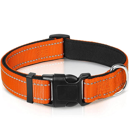 Collier Réfléchissant Chien