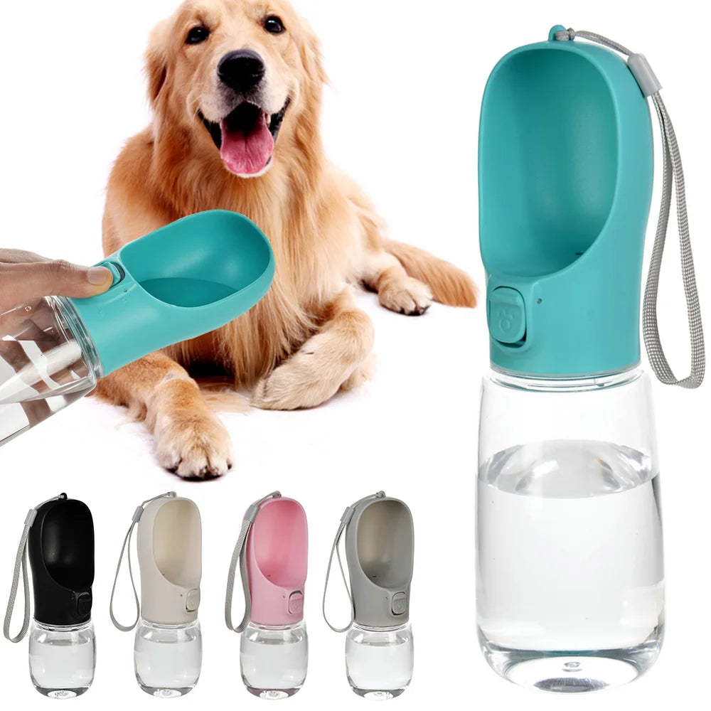 Gourde Eau Chien Portable