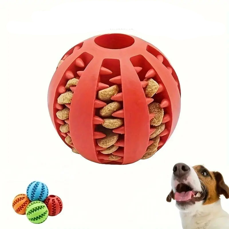 Balle Jouet Chien