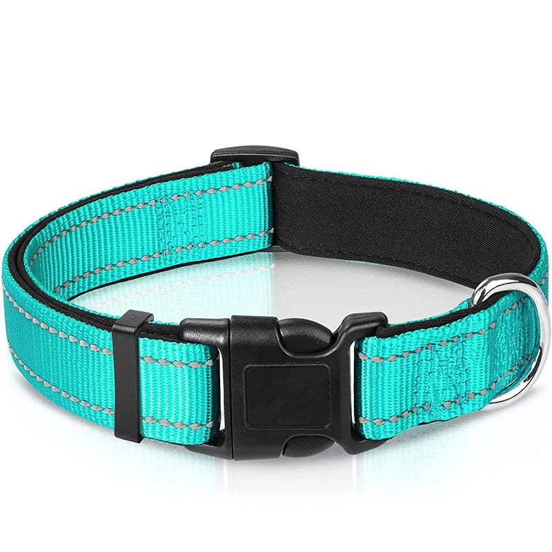 Collier Réfléchissant Chien