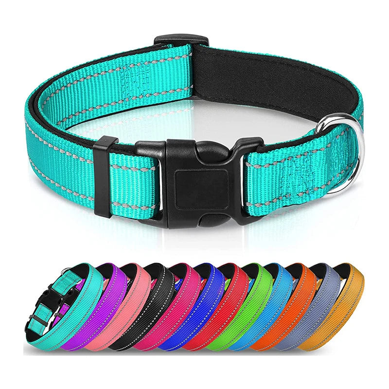 Collier Réfléchissant Chien