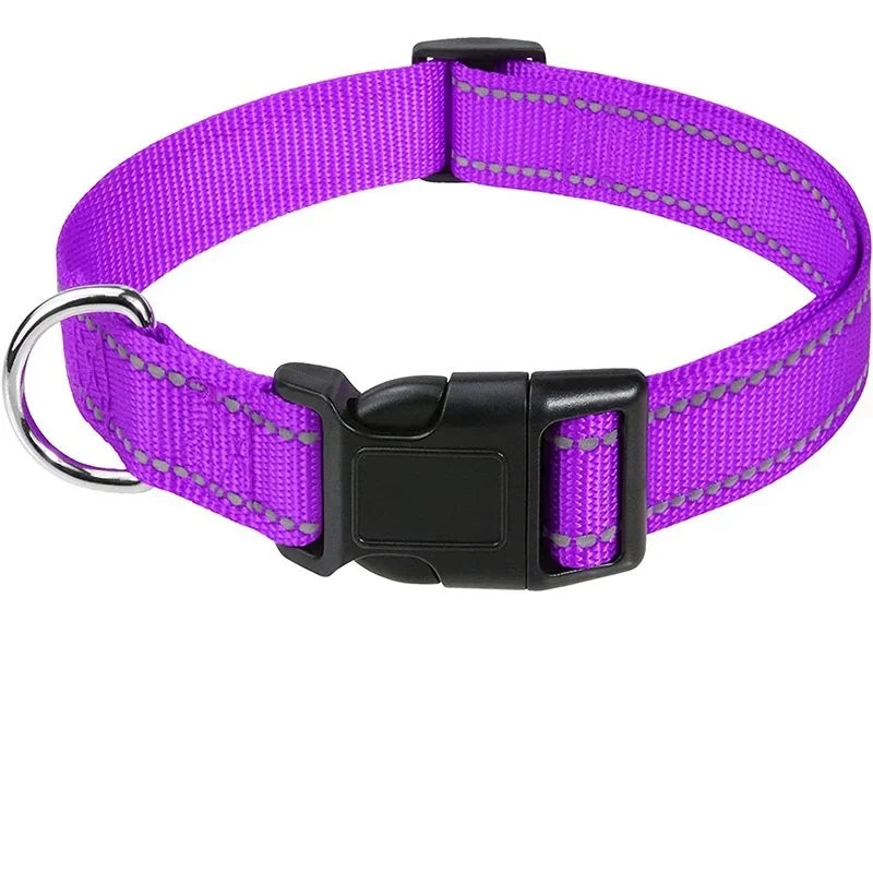 Collier Pour Chien Réfléchissante