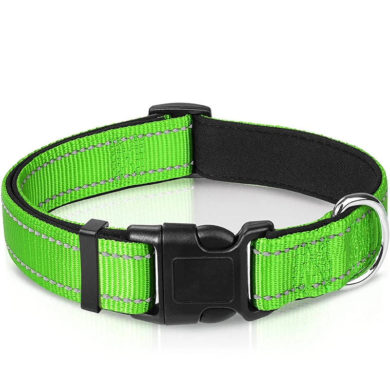 Collier Réfléchissant Chien