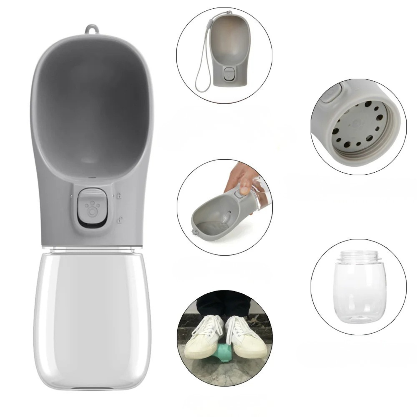 Gourde Eau Chien Portable