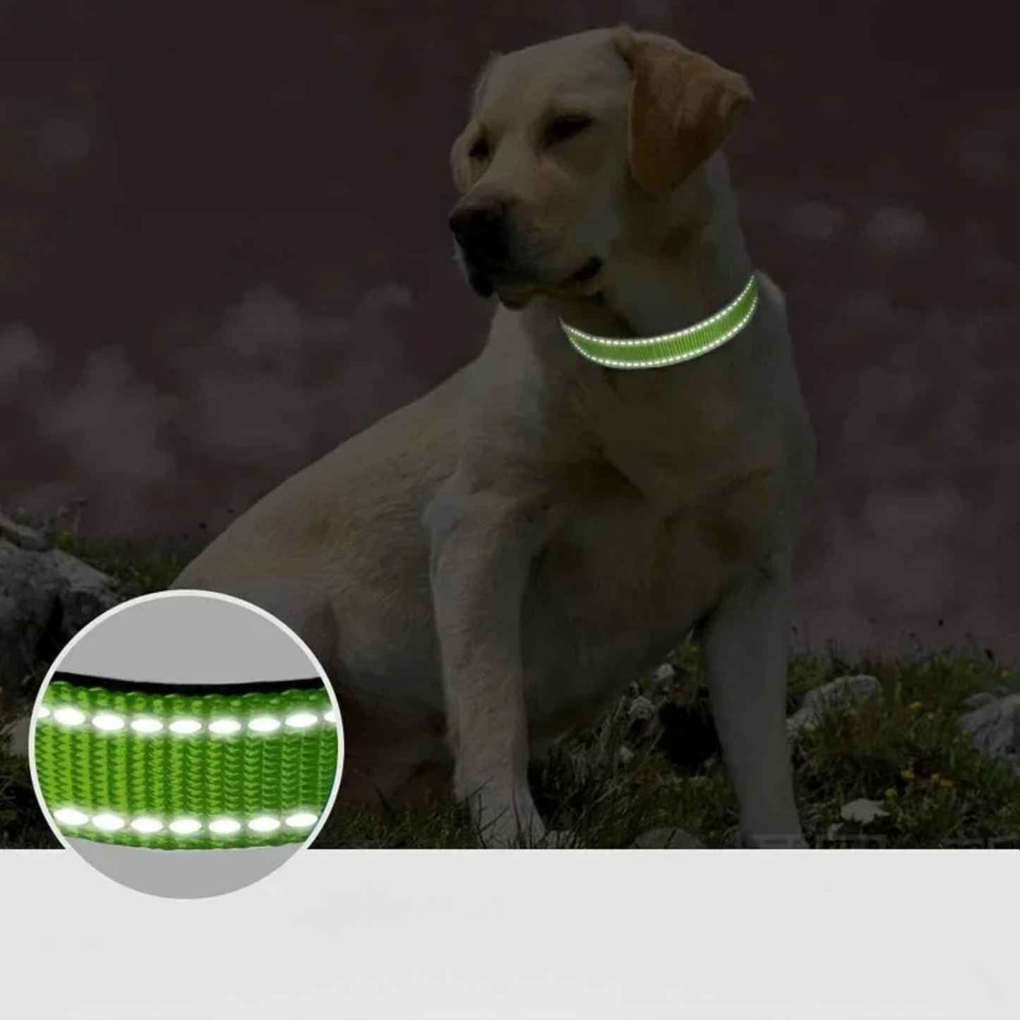 Collier Pour Chien Réfléchissante