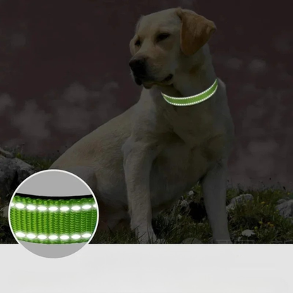 Collier Pour Chien Réfléchissante