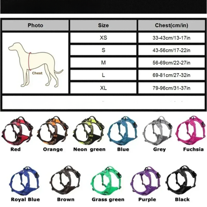 Harnais Réfléchissant Ajustable