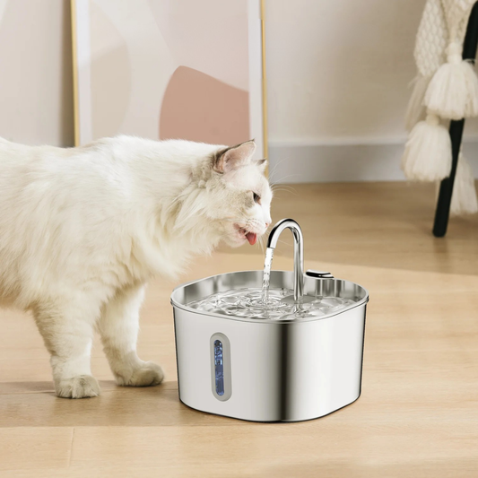 Fontaine à Eau Automatique