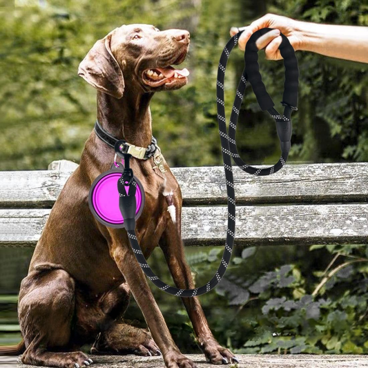 Laisse Réfléchissante Forte