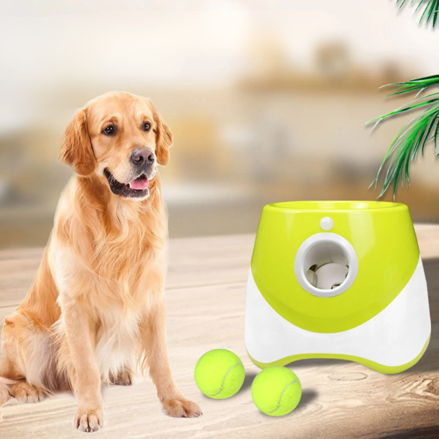 Lance-Balle Automatique