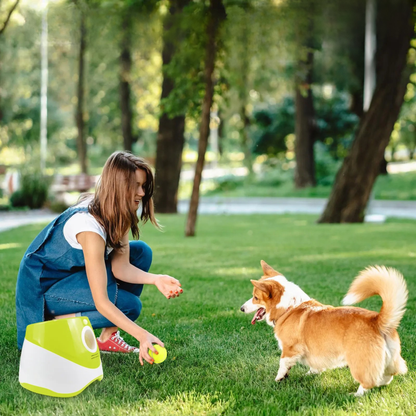 Lance-Balle Automatique