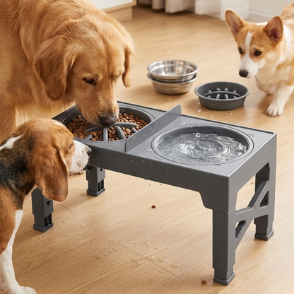 Bol Élevé Chien Pliable