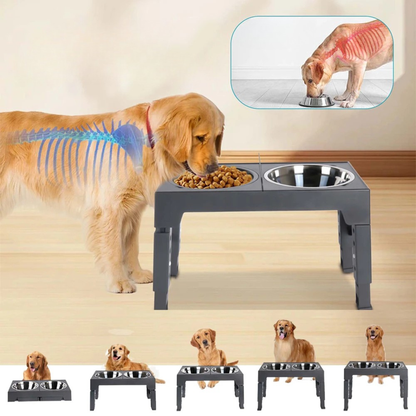 Bol Élevé Chien Pliable