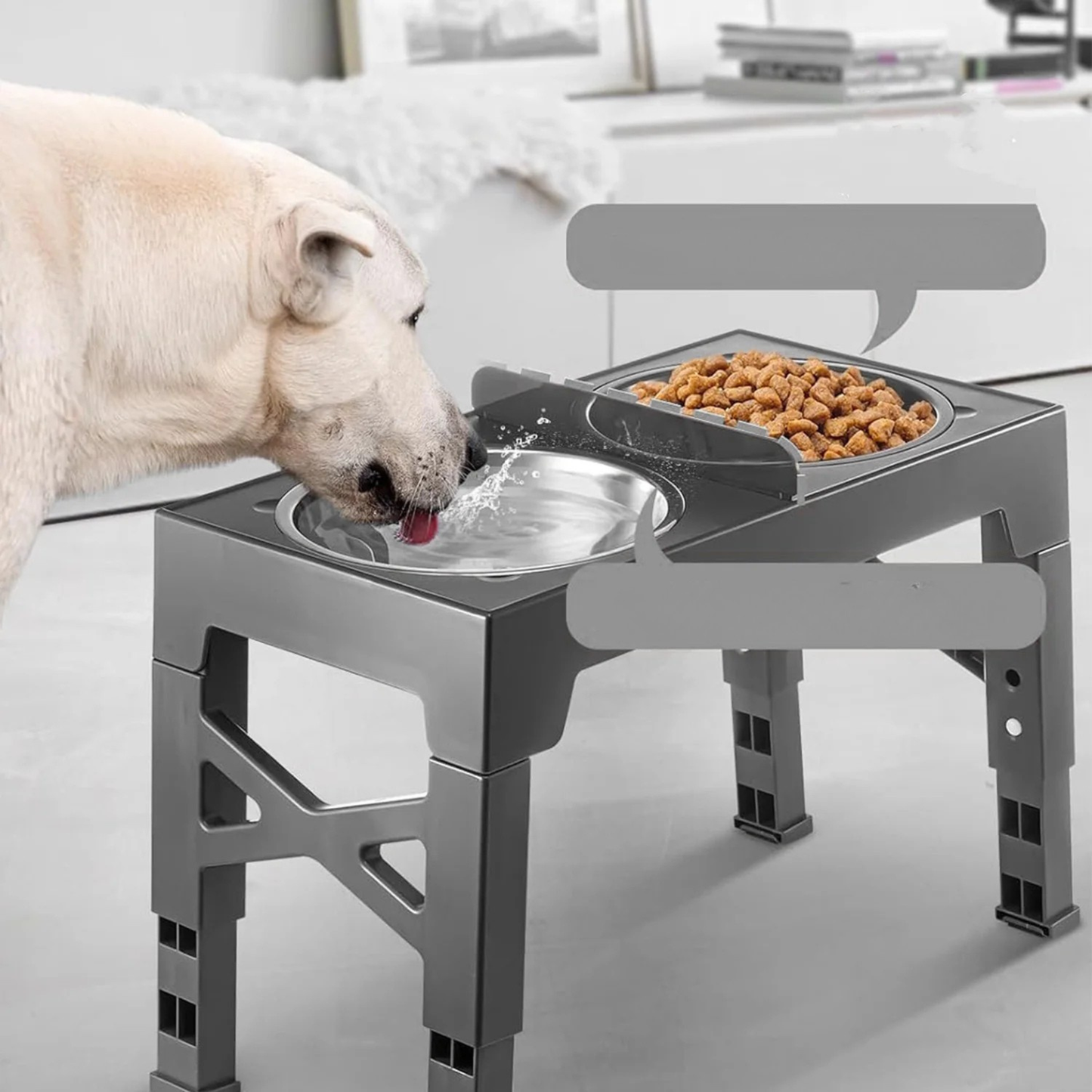 Bol Élevé Chien Pliable